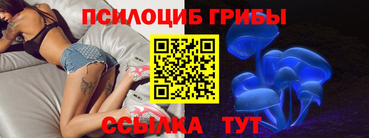 Галлюциногенные грибы MAGIC MUSHROOMS  закладки  Черногорск  Вход с VPN 